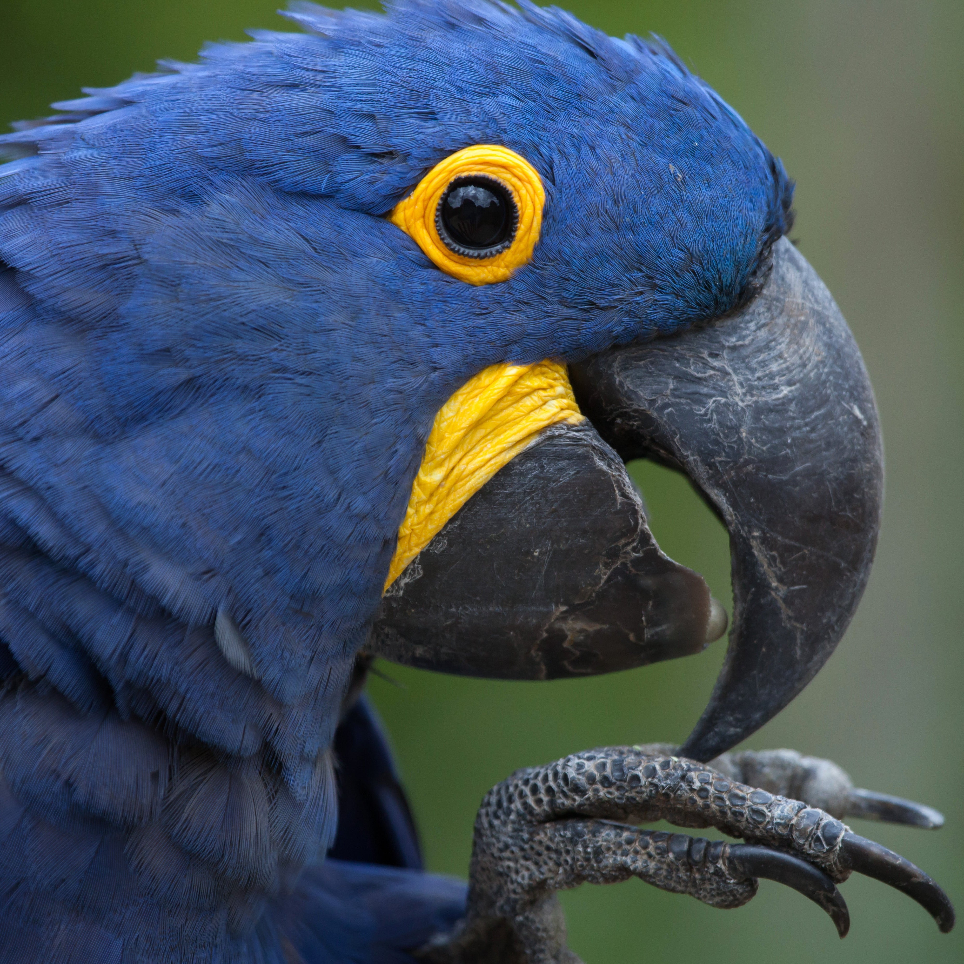 KROMSNAVELS | Algemene gezondheid