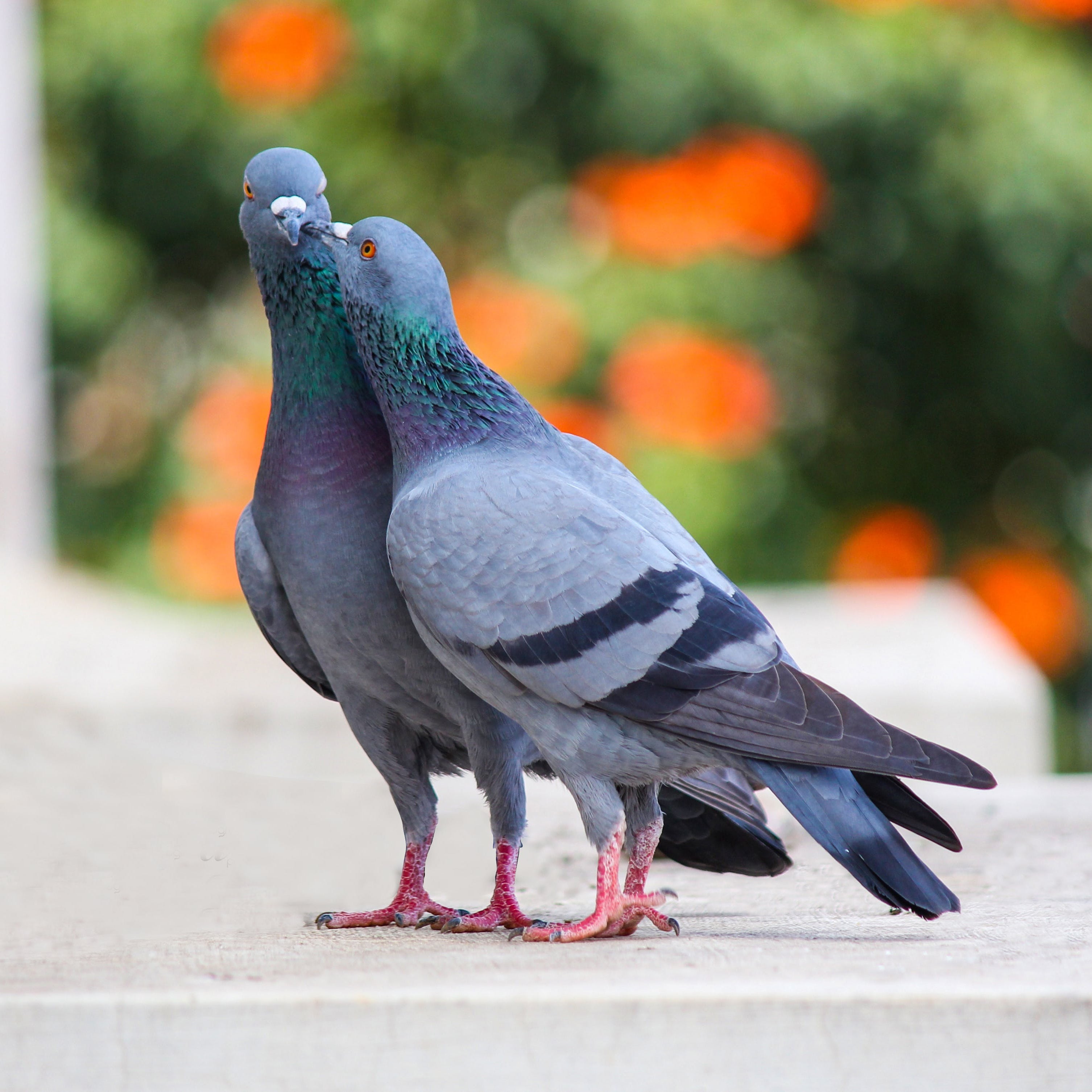 DUIVEN | Vruchtbaarheidstherapie