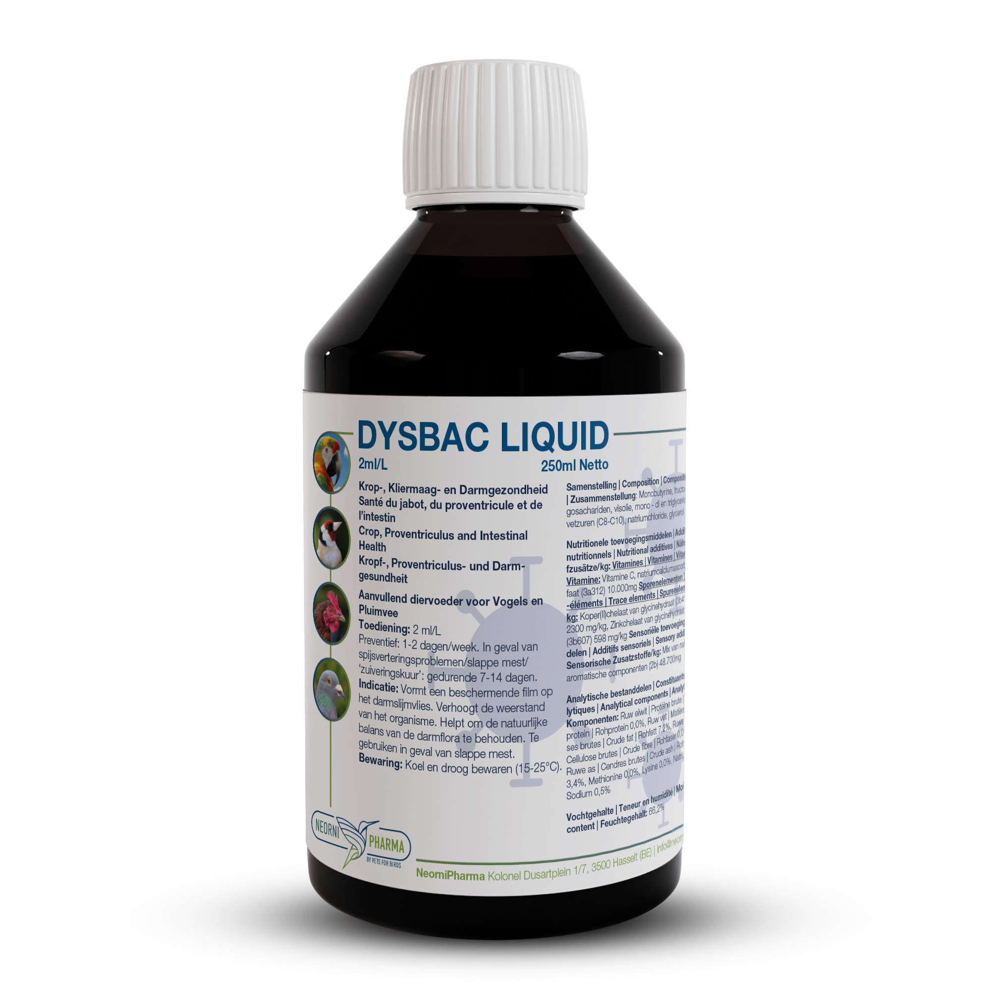 DYSBAC LIQUID (7-in-1 gut health)