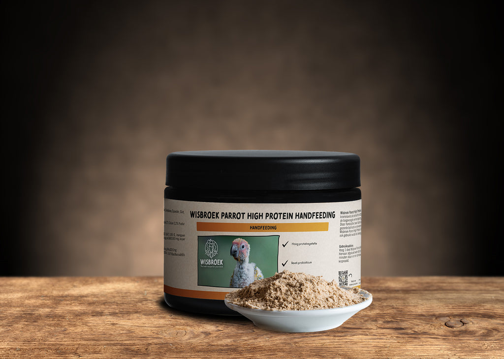 Parrot high fat aliment elevage main
