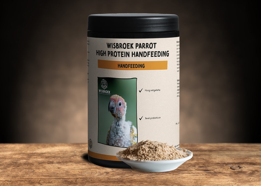 Parrot high fat aliment elevage main
