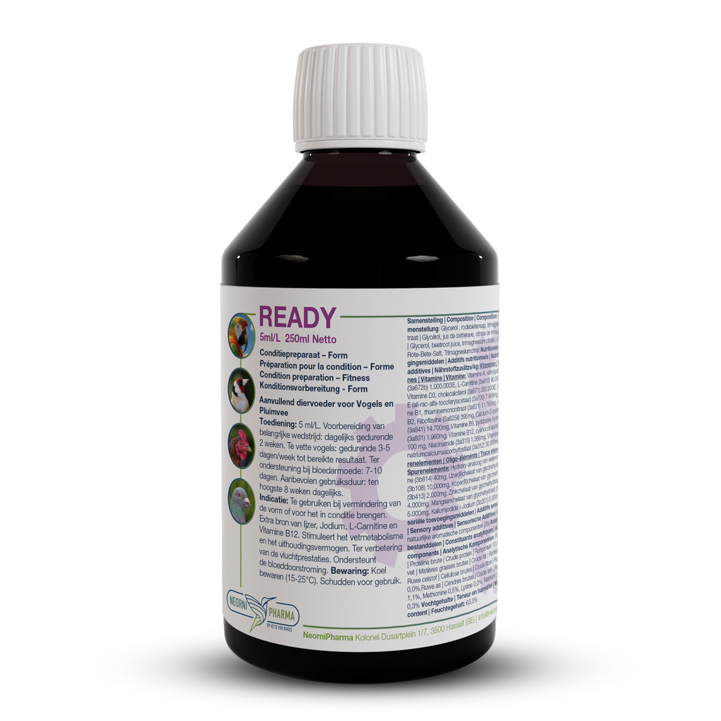 READY (fer supplémentaire, iode, L-carnitine & vit. B12) : Booster de condition