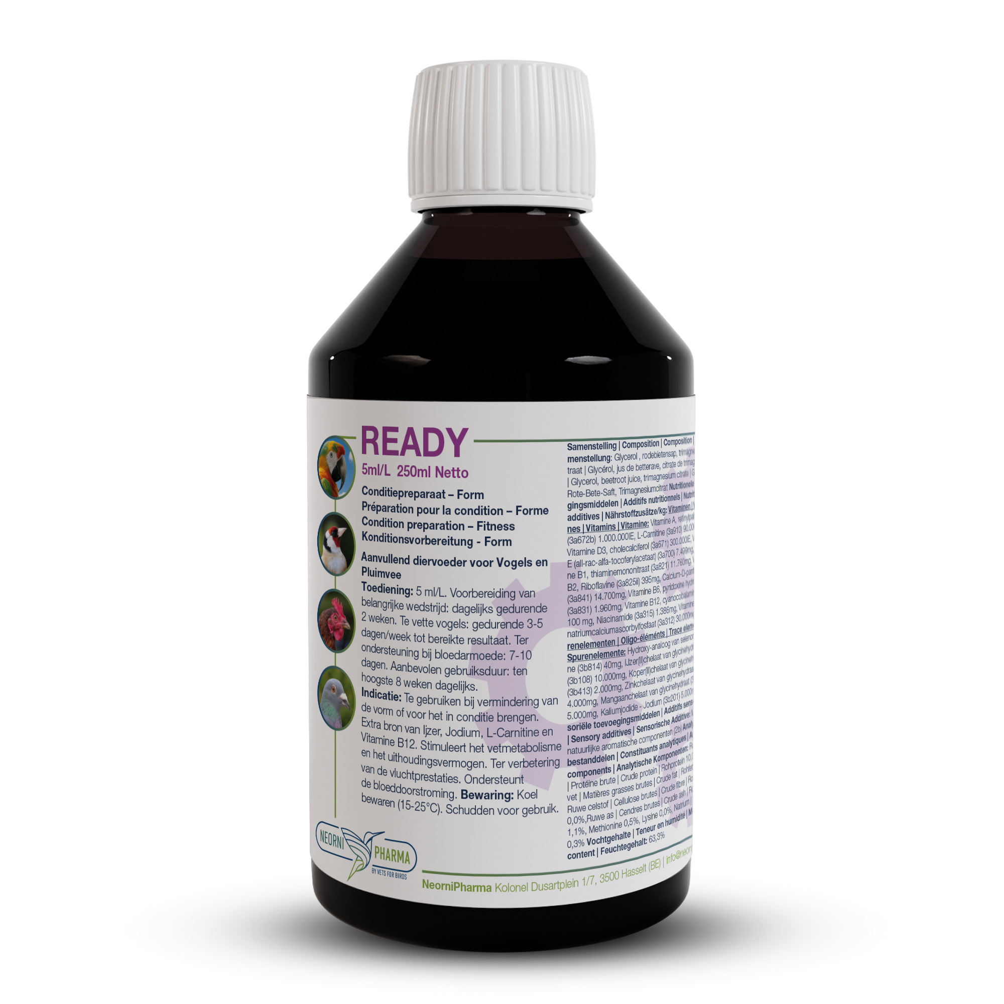 READY (extra iron, iodine, L-carnitine & vit. B12): Condition booster