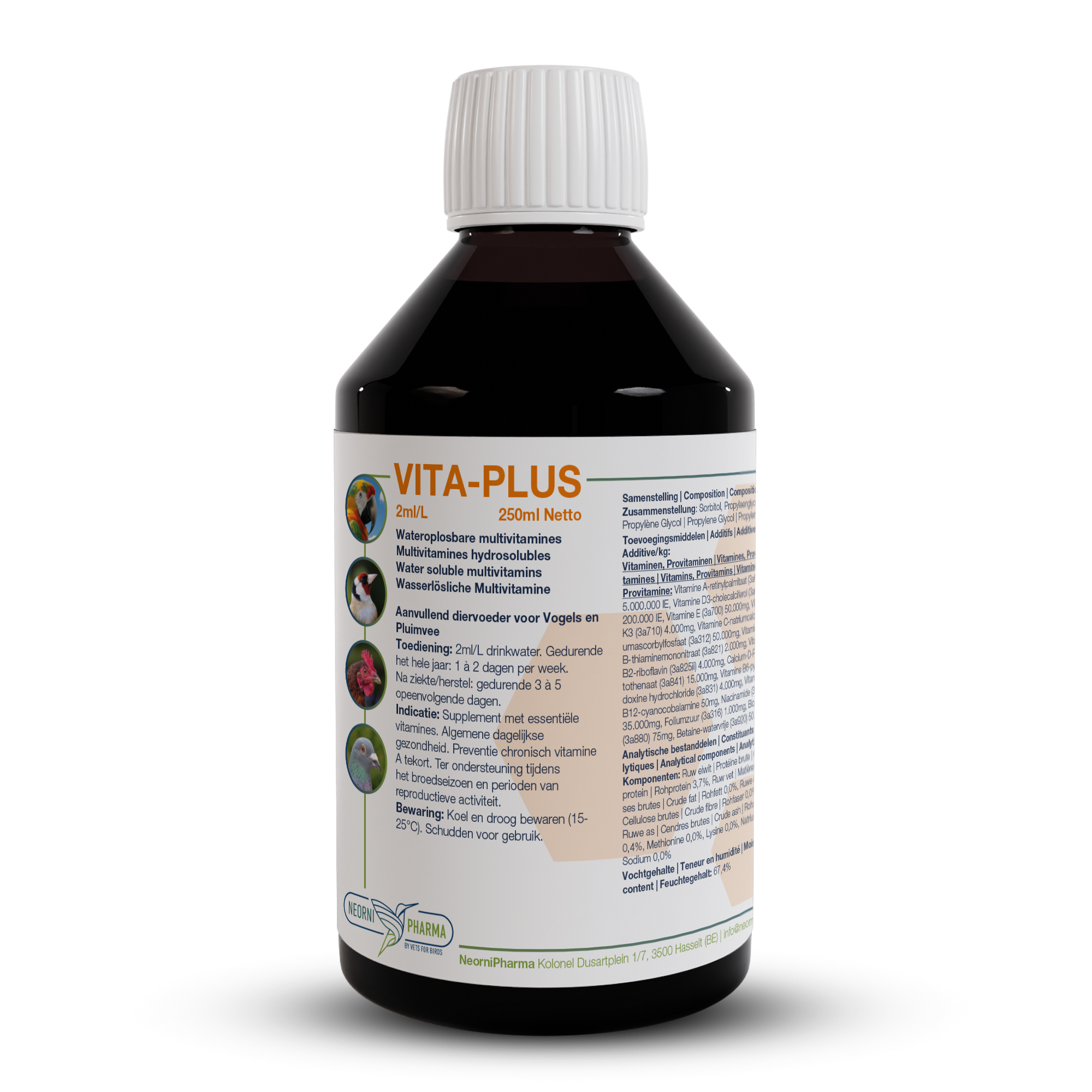 VITA-PLUS: Daily multivitamins